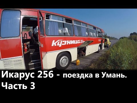 Видео: Икарус-256. Финальная серия нашего с вами тест драйва. Серия 3.