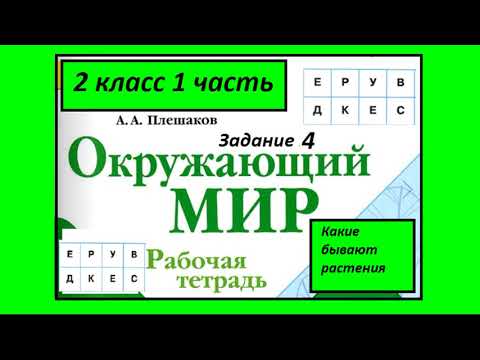 Видео: Какие бывают растения 4 задание. Окружающий мир 2 класс рабочая тетрадь. Окрашваем буквы