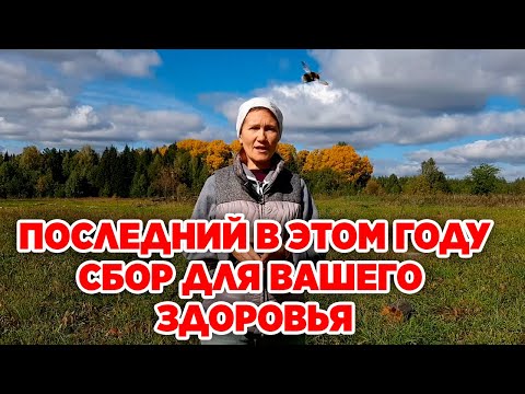 Видео: ОСЕНЬ СБОР ЛЕКАРСТВЕННЫХ РАСТЕНИЙ ЯГОД И ПЛОДОВ