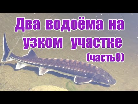 Видео: Два водоёма на узком участке (часть9)