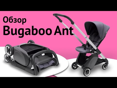 Видео: Вся правда о коляске Bugaboo Ant | Обзор плюсов и минусов
