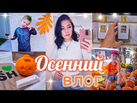 Видео: ПОКУПКИ/ ТЕСТИРУЮ АРОМАТЫ/ ПРОГУЛКИ/ ХЭЛЛОУИН/ ШОПИНГ/ ПОКУПКИ ОСЕНЬ семья США ВЛОГ #парфюм #vlog