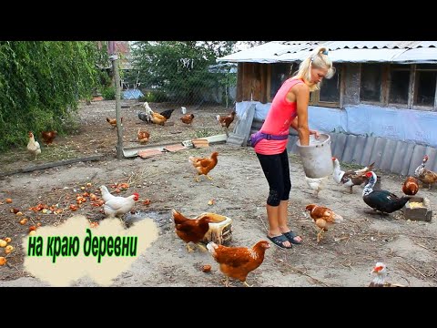 Видео: 🏡 Живу одна на окраине деревни. Очень много забот. Не успеваю.