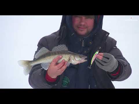 Видео: РЫБАЛКА НА КАМСКИХ ПРОСТОРАХ | СУДАК НА РАТТЛИНЫ | IMA | ECLIPSE