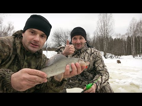 Видео: Ловля хариуса зимой на донки. Трофей с бонусом во рту, редкое явление!!!