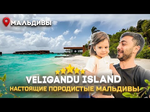 Видео: Veligandu Island 5* МАЛЬДИВЫ - Открытие года! Тут есть всё, кроме...