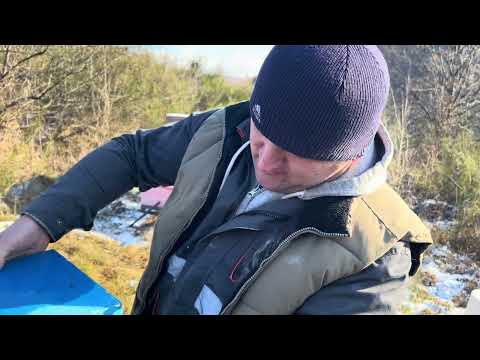Видео: Побував на пасіці. Бджоли станом на початок січня. #бджільництво
