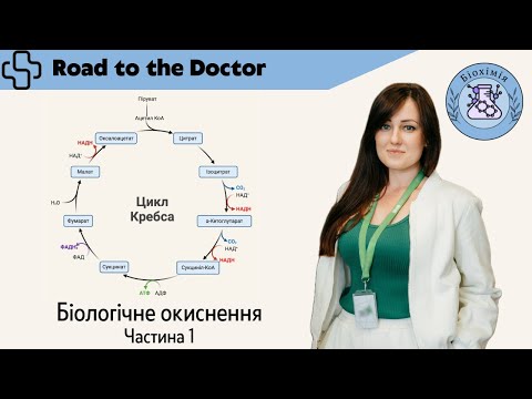 Видео: Біологічне окиснення | Частина 1 | Метаболізм, основні терміни, цикл Кребса