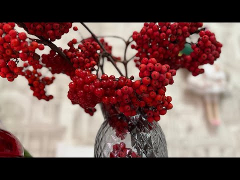 Видео: БЕСПЛАТНЫЙ ОСЕННИЙ ДЕКОР /  КЛЕРОДЕНДРУМ / ХЛОРОФИТУМ И ДРУГИЕ КОМНАТНЫЕ РАСТЕНИЯ 