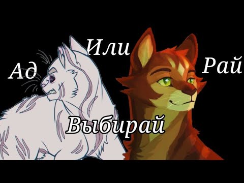 Видео: Коты воители клип/Ад или Рай выбирай /