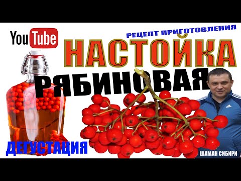 Видео: Настойка Из Рябины!Рябиновка! Очень Простой Рецепт Приготовления! Дегустация!