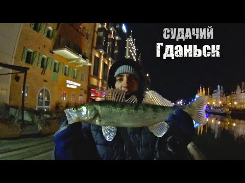 Видео: В поисках весеннего судака часть 2. Река Motlawa.