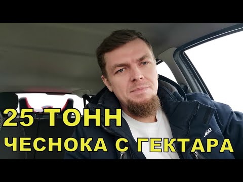 Видео: РЕАЛЬНАЯ УРОЖАЙНОСТЬ ЧЕСНОКА