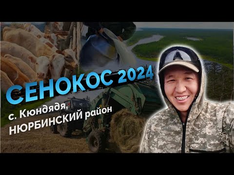 Видео: Сенокос 2024 г. Нюрбинский улус, с. Кюндядя