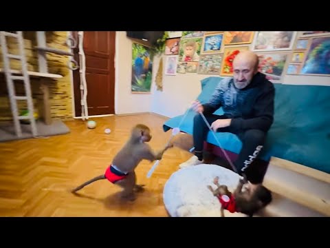 Видео: Это НУЖНО ВИДЕТЬ! Степка с Люсей делят между собой красивый коврик)))