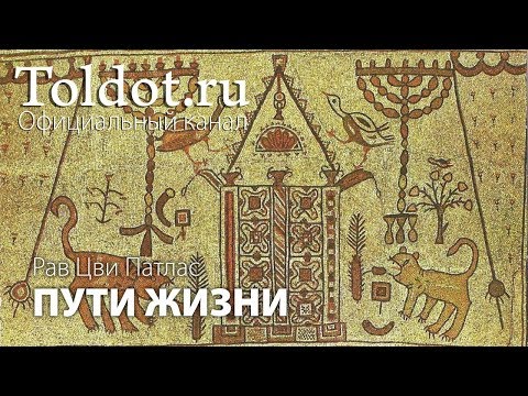 Видео: Как преодолеть гнев. Рав Цви Патлас. Пути жизни 5