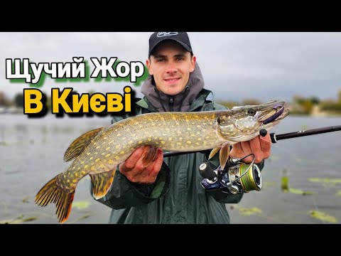 Видео: ЩУКА Клює СКРІЗЬ!✅ Ловля Щуки та Судака на Дніпрі. Рибалка в Києві.