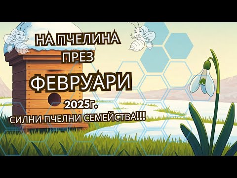 Видео: Най - важното за пчелите през Февруари. Силни пчелни семейства!
