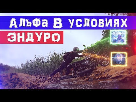 Видео: Альфа в условиях ЭНДУРО😳