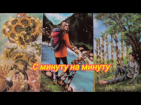 Видео: ❤️🕸️♥️⁉️🫰🌍С МИНУТУ НА МИНУТУ ☀️🕊️♥️