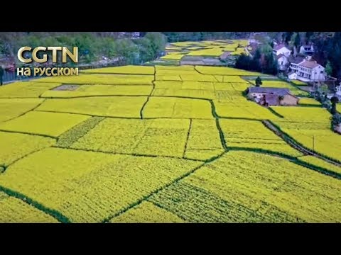 Видео: Китай с птичьего полета Серия 1 Синьцзян Часть 1