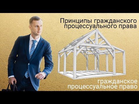 Видео: Принципы гражданского процессуального права (Стрим Николая Шалаевского)