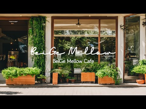 Видео: Фортепианная музыка в кафе с позитивной атмосферой (BeiGe Mellow Cafe)