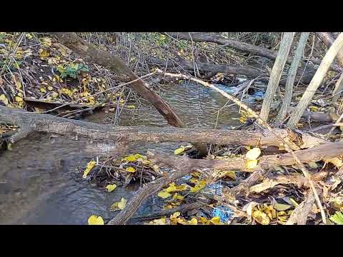 Видео: Ручей 