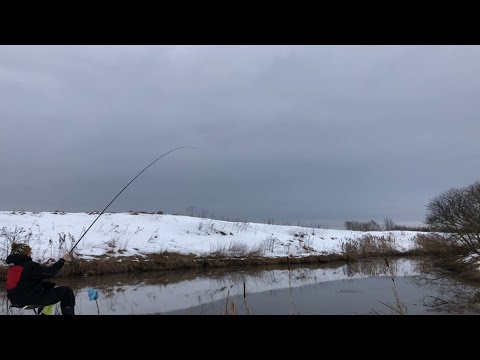 Видео: Сломалась удочка, искупался... КАРАСЬ весной на ХЕРабуну!