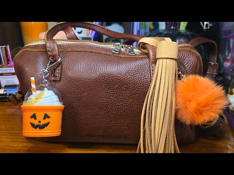 Видео: ЧТО В МОЕЙ СУМКЕ? 🎃🍁🧡 Сумка доктора PLG Sloan