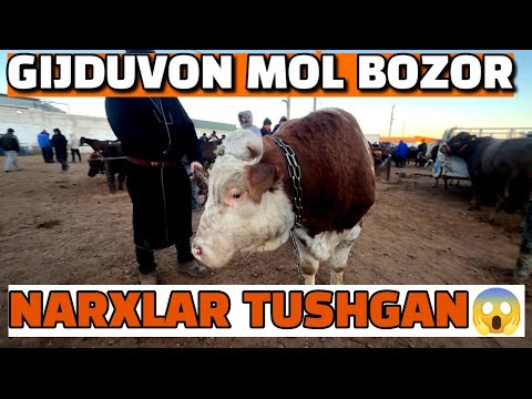 Видео: ЙЕМЛАНГАН БУКА НАРХЛАР 05.11.2025/БУХОРО ГИЖДУВОН МОЛ БОЗОР