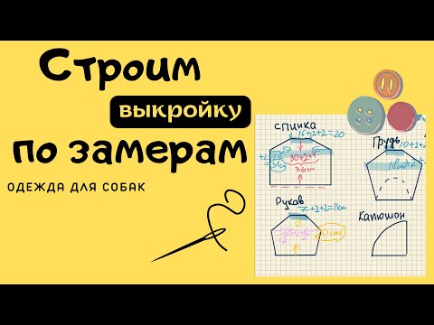 Видео: Выкройка на собаку ✏️🧵✂️ Как снять мерки с собаки 🧮❓