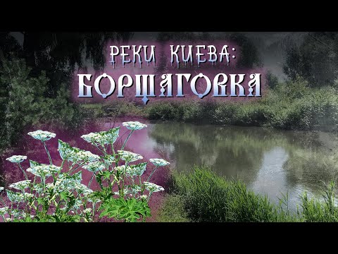 Видео: Река Борщаговка. История, ядовитый борщевик, рыбы-мутанты.