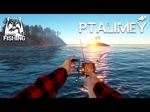 Видео: Русская рыбалка 4: крючок удачи и большая рыба🐟Russian Fishing 4
