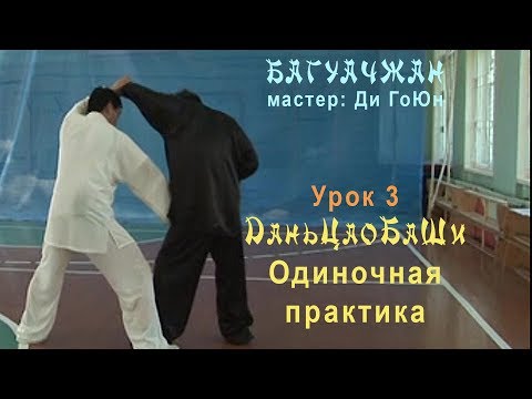 Видео: 3. ДаньЦао БаШи | Багуачжан | Ди Гоюн