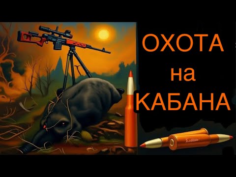 Видео: Охота на кабана🐗