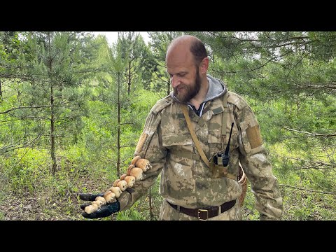 Видео: Грибной сезон 2025!!! Счастье грибников!!! От бочонка до гиганта!!!