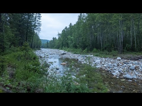 Видео: Байкал 2025. Поход в предгорья Хамар-Дабана до скалы "Чёртов палец".