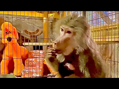 Видео: Мы принесли малышку Анфису к маме Лиде, но мама заставила НАС ПОВОЛНОВАТЬСЯ!