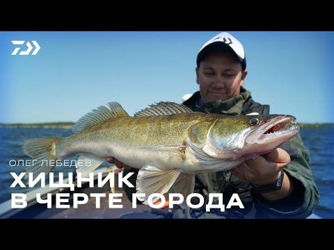 Видео: ХИЩНИК В ЧЕРТЕ ГОРОДА x ЧЕБОКСАРЫ x ОЛЕГ ЛЕБЕДЕВ