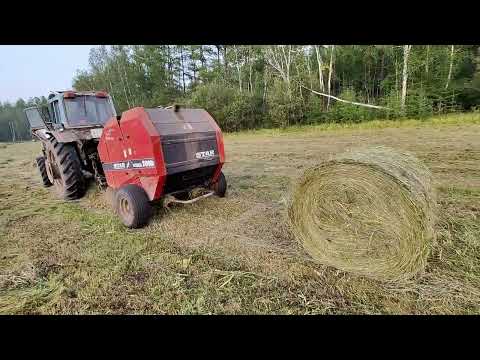 Видео: От 2024