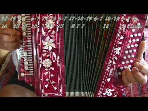 Видео: Черная смородина. Видеоразбор(цифры) на гармони.
