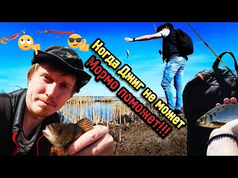 Видео: Когда Джиг не может Мормо поможет!!! Мормышинг на Окуня🎣