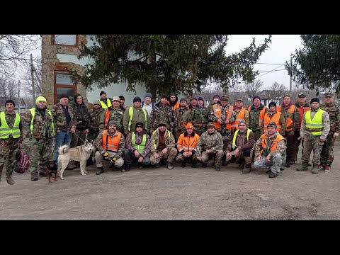 Видео: 27 выход - регулирование лис и шакалов в охот угодьях
