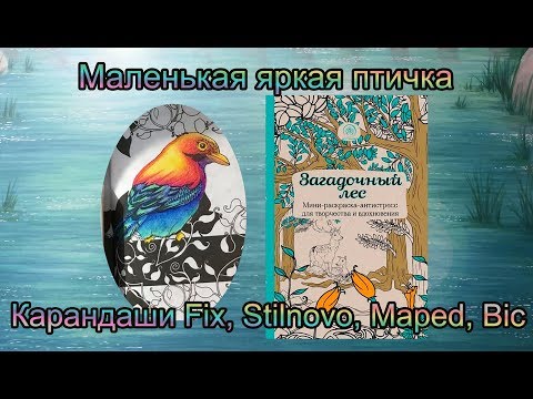 Видео: Карандаши Bic, Maped, Fix Price, Giotto Stilnovo Раскраска-Антистресс Заколдованный лес Эксмо