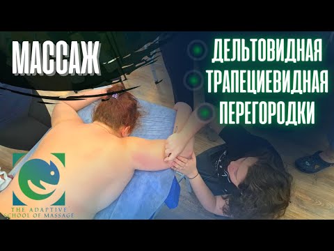 Видео: МАССАЖ. Дельтовидная мышца. Трапеция. Поднимающая лопатку. Фасциальные техники. Татьяна Яковлева
