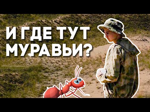 Видео: Сафари за муравьями продолжается: экспедиция в поисках муравьёв в лесу и на песчаных барханах Хопра!