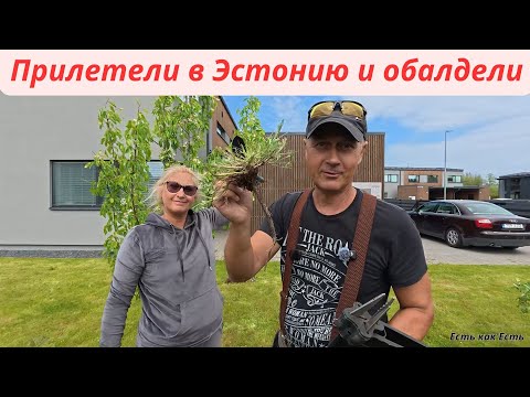 Видео: Прилетели из Турции в Эстонию и обалдели / Цены в магазинах Эстонии