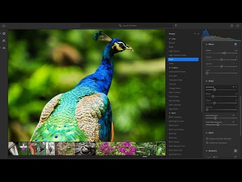 Видео: Обработка фото в Lightroom по стандартам микростоков | Adobe Stock