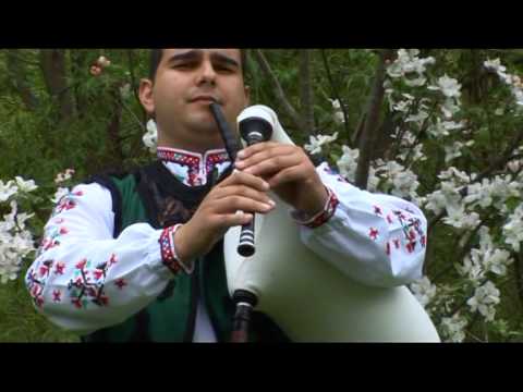Видео: Алексей Енчев- Медена гайда